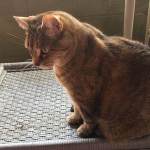 Meet your Posher, Lisa